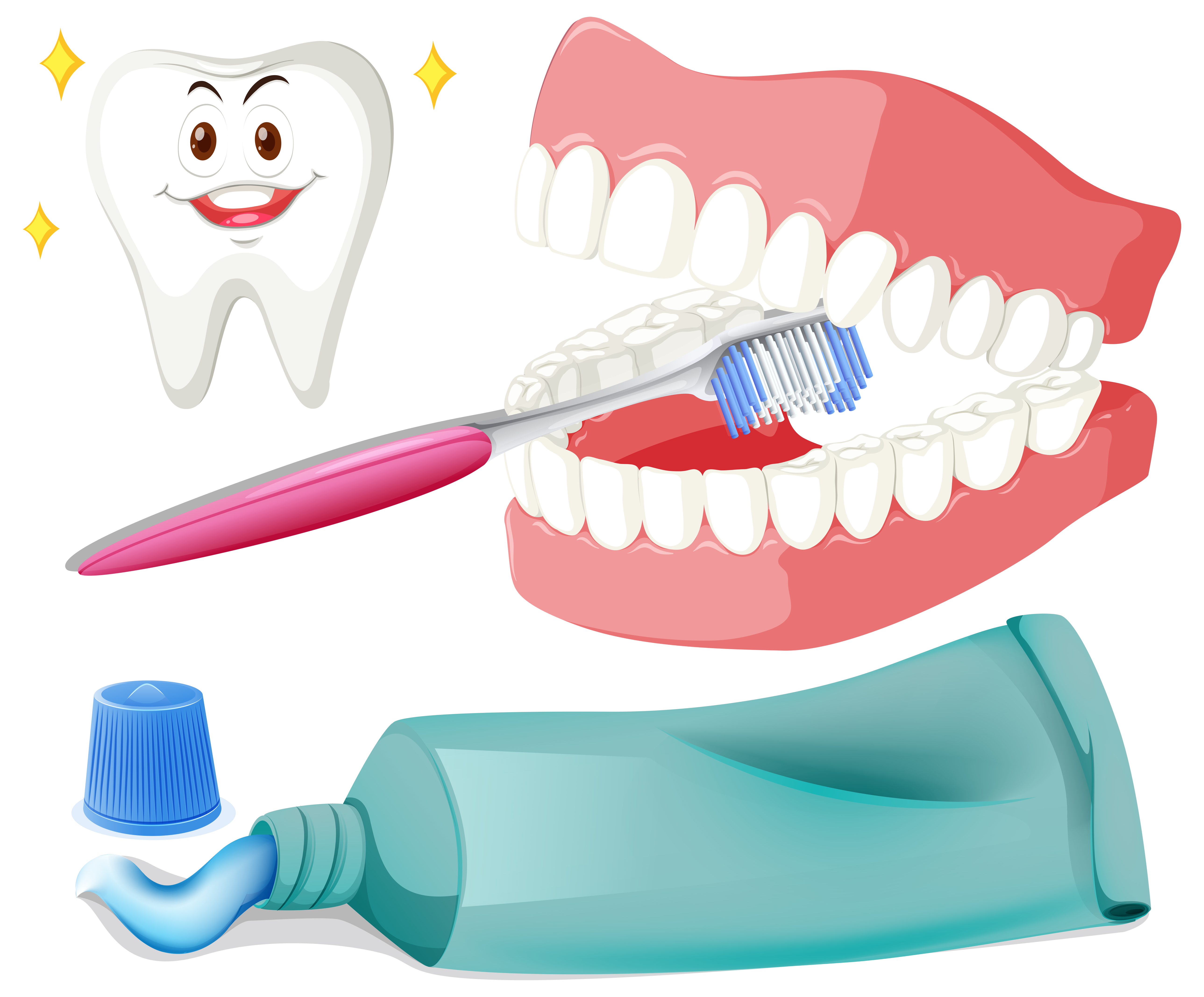 Зубная паста и зубная счетка вектор